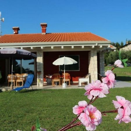 Rosa Dei Venti Sul Garda Apartman Bardolino Kültér fotó